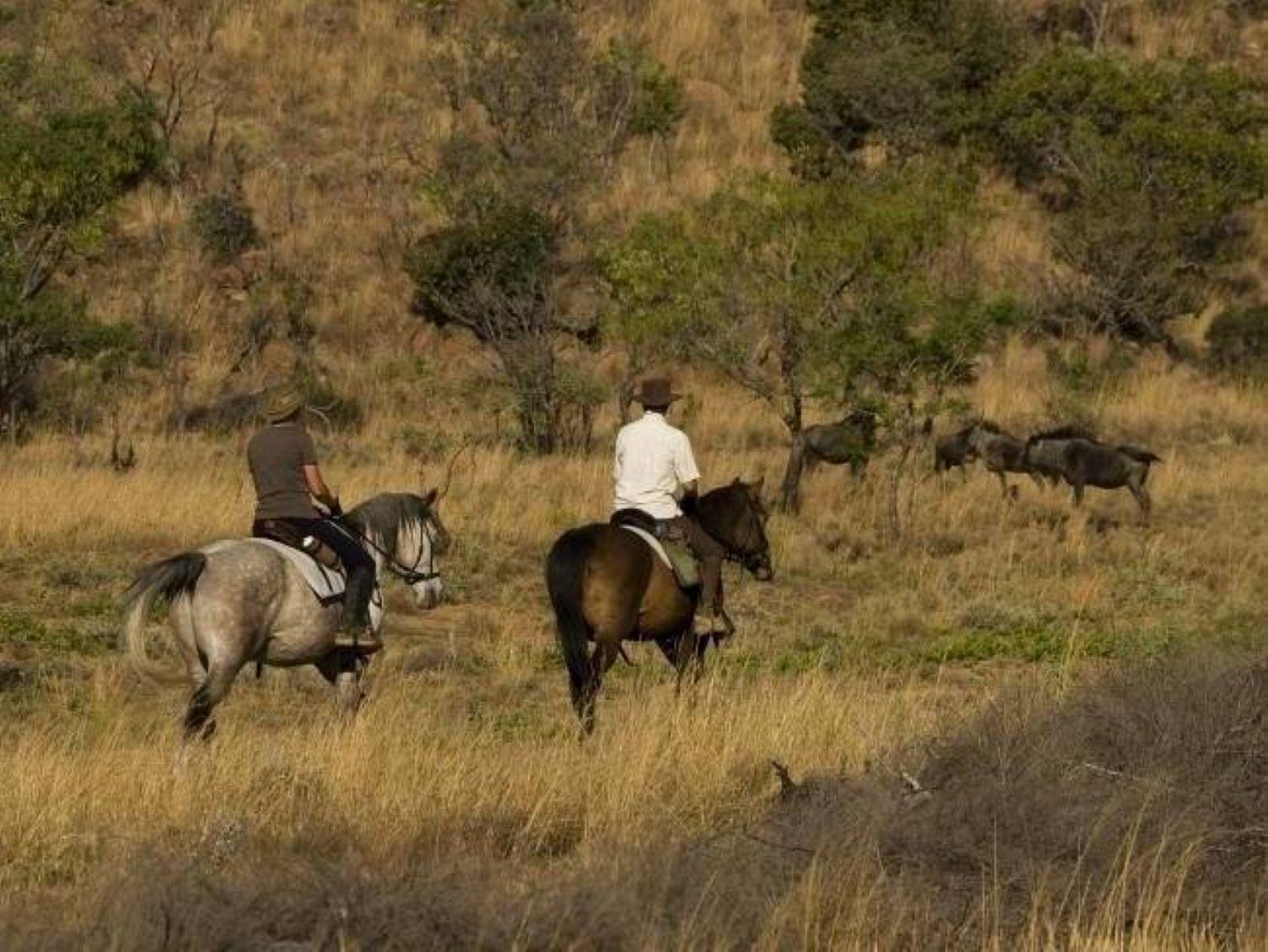 Wielewaal Bush Lodge Marloth Park Exterior foto