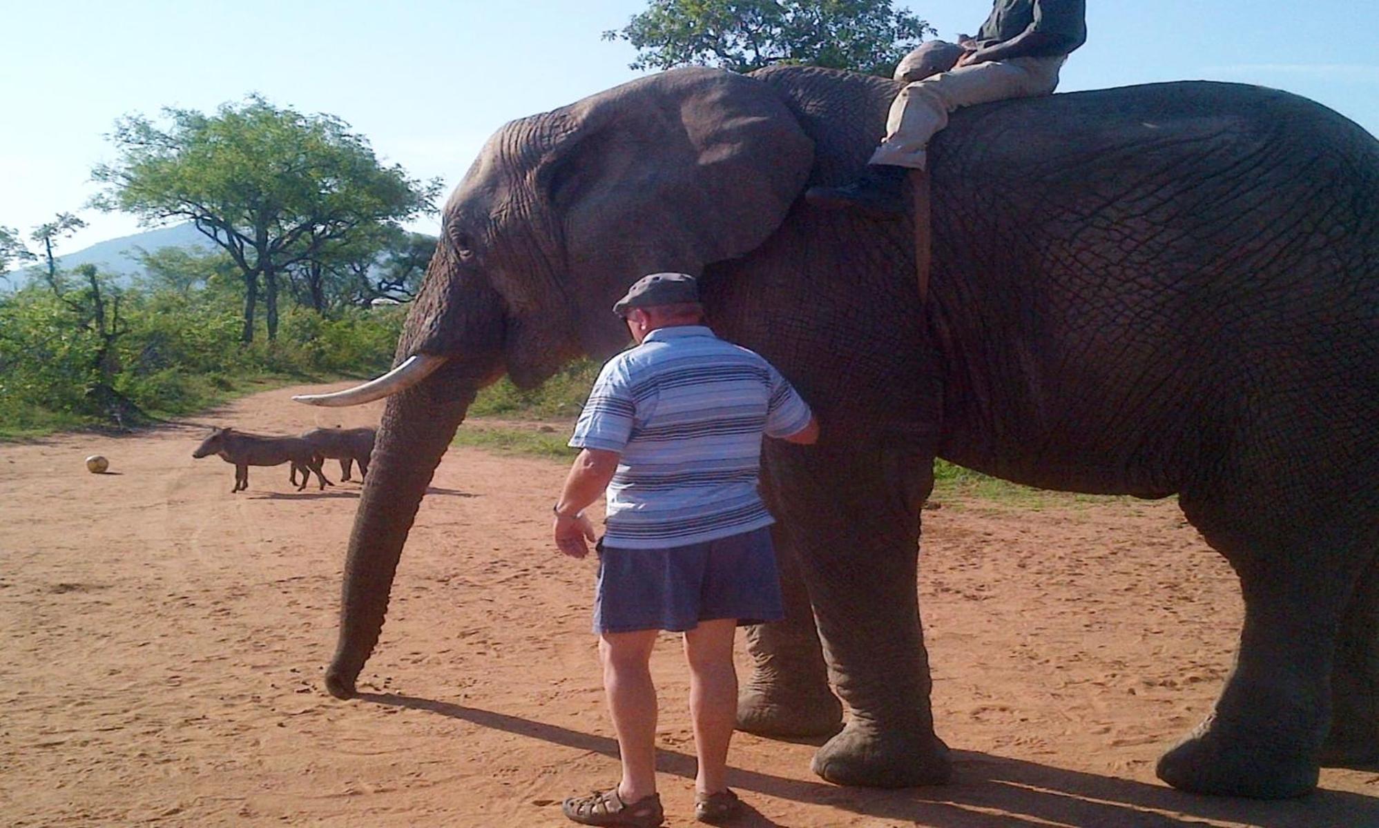 Wielewaal Bush Lodge Marloth Park Exterior foto
